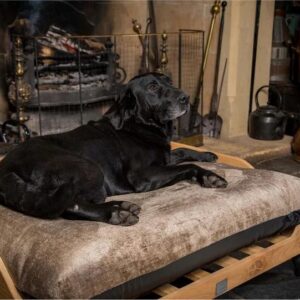 lits pour chiens de grande taille bon marché