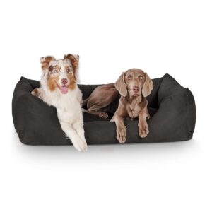 xl dog bed