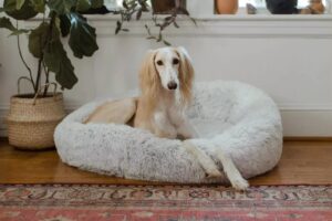 hoe vaak hondenbedden wassen