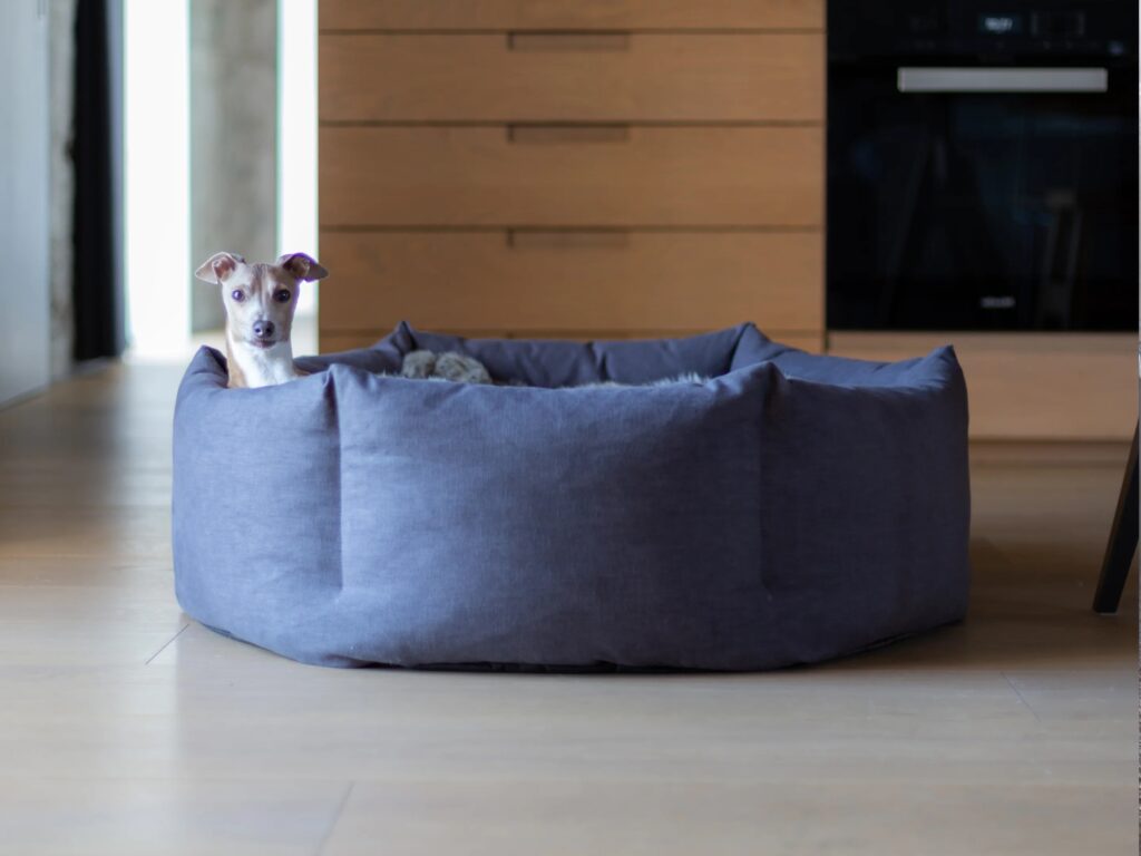 можно ли стирать собачью подстилку можно ли стирать собачью подстилку