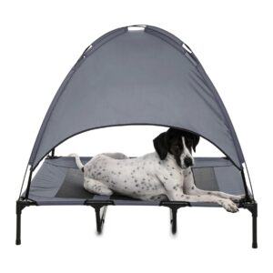 litière pour chiens à l'extérieur