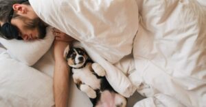 Tipps, wie Sie Ihren Hund vom Bett fernhalten & beste Lösungen für Haustierbetten (4)(1)