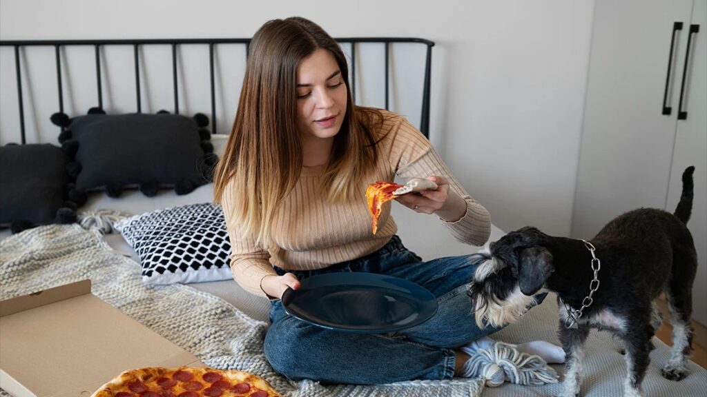 Why Do Dogs Lick Bed Sheets