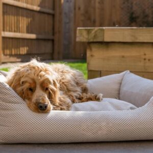 camas de espuma com memória para cães grandes