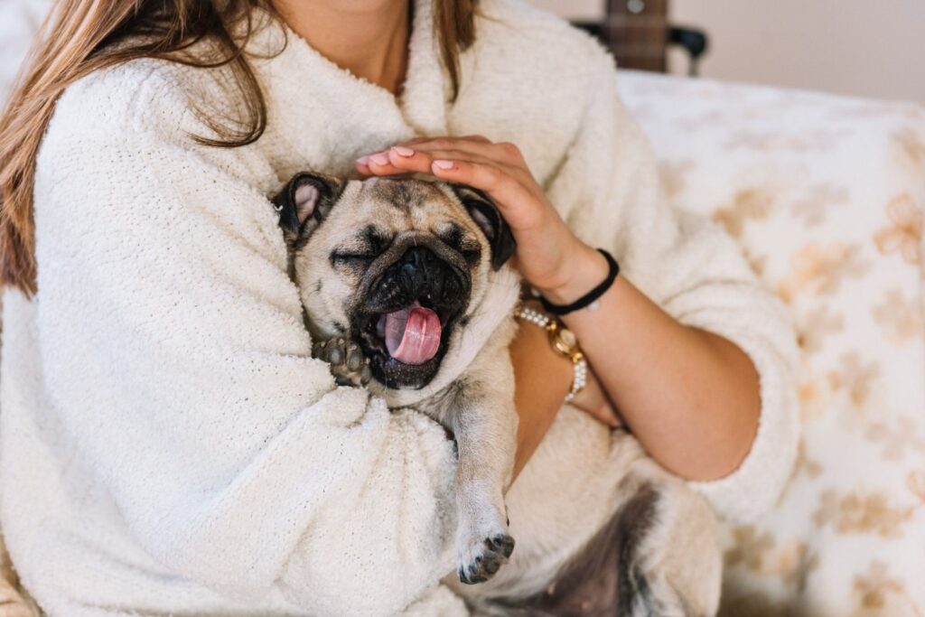 hoe kom ik van hondenhaar op kleren af?