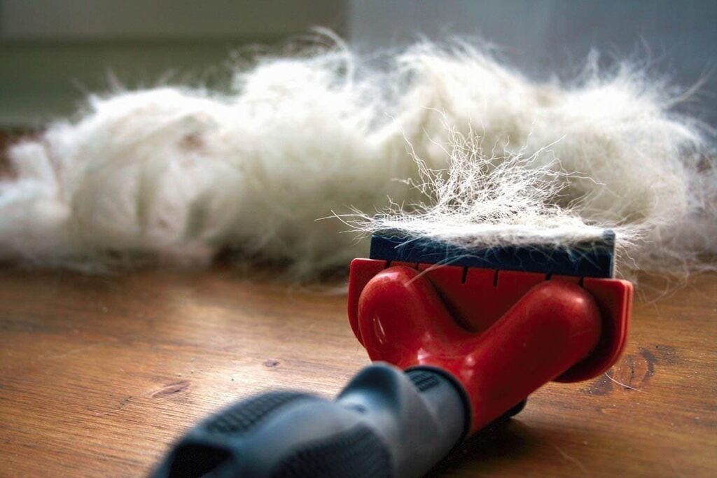 hoe krijg ik hondenhaar uit kleding