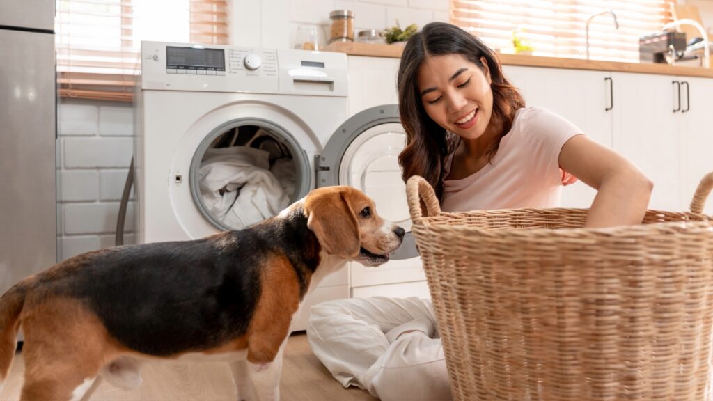 hoe verwijder je hondenhaar van kleding