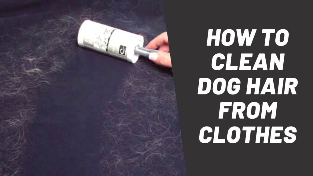 hoe krijg ik hondenhaar uit kleren?