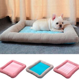 cool dog beds
