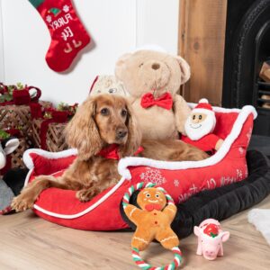 lit de Noël pour chien
