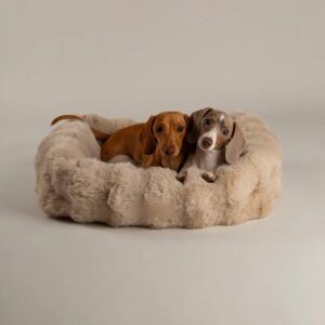 koirien vuoteet suurille koirille