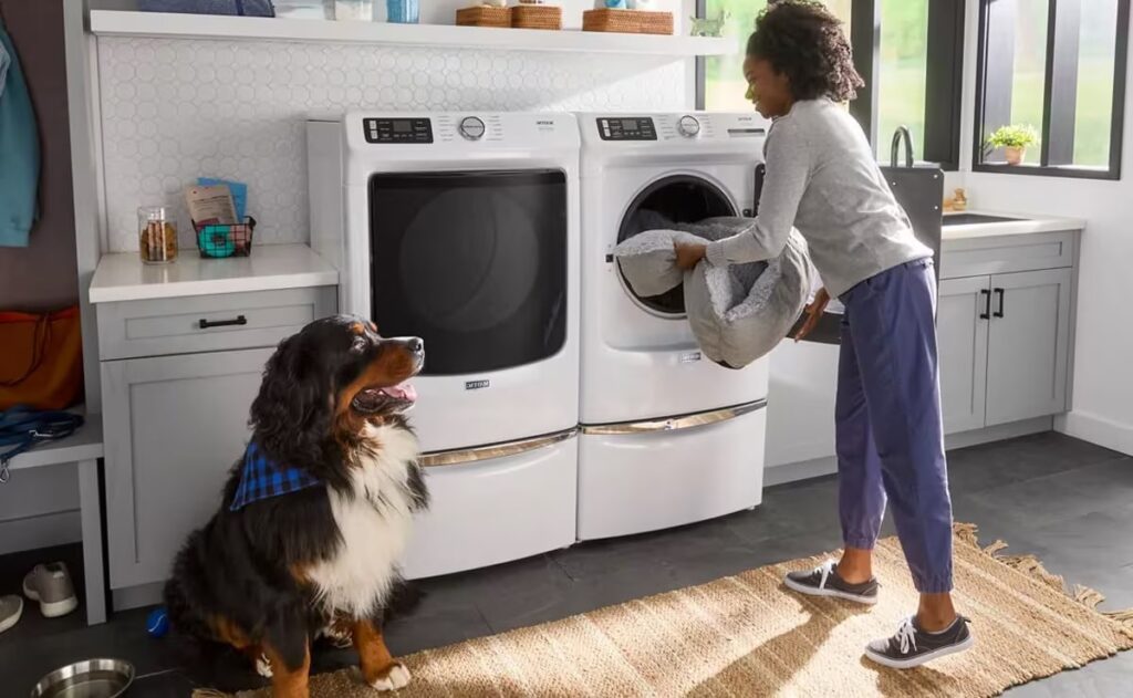 how to get rid of dog pee smell on clothes