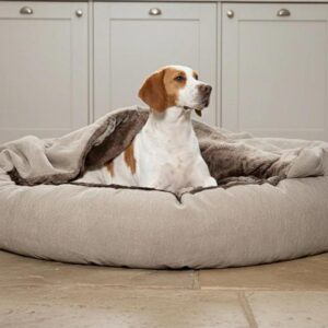 covered dog bed