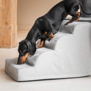 Escalier pour lit de chien