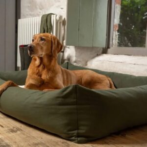 bolster dog bed
