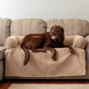dog bed for couch