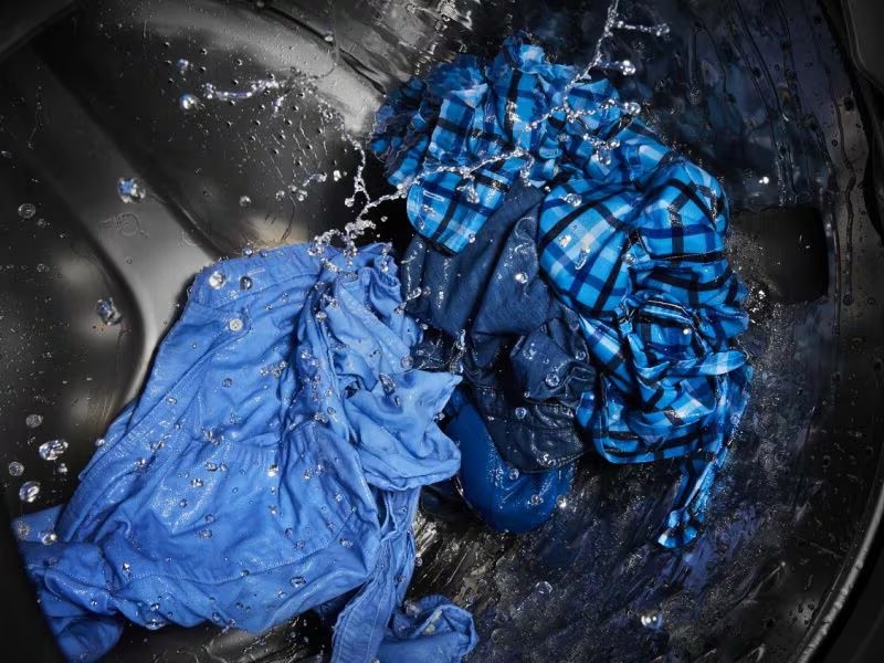 how to get dog pee out of clothes