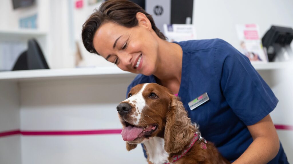 Infektion i hundens negleseng Infektion i hundens negleseng