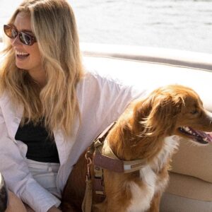 kan hunde lide at bære tøj?