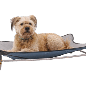 Lit d'appoint pour chien