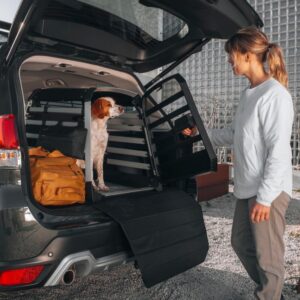 σκυλόσπιτο με κρεβάτι φορτηγού