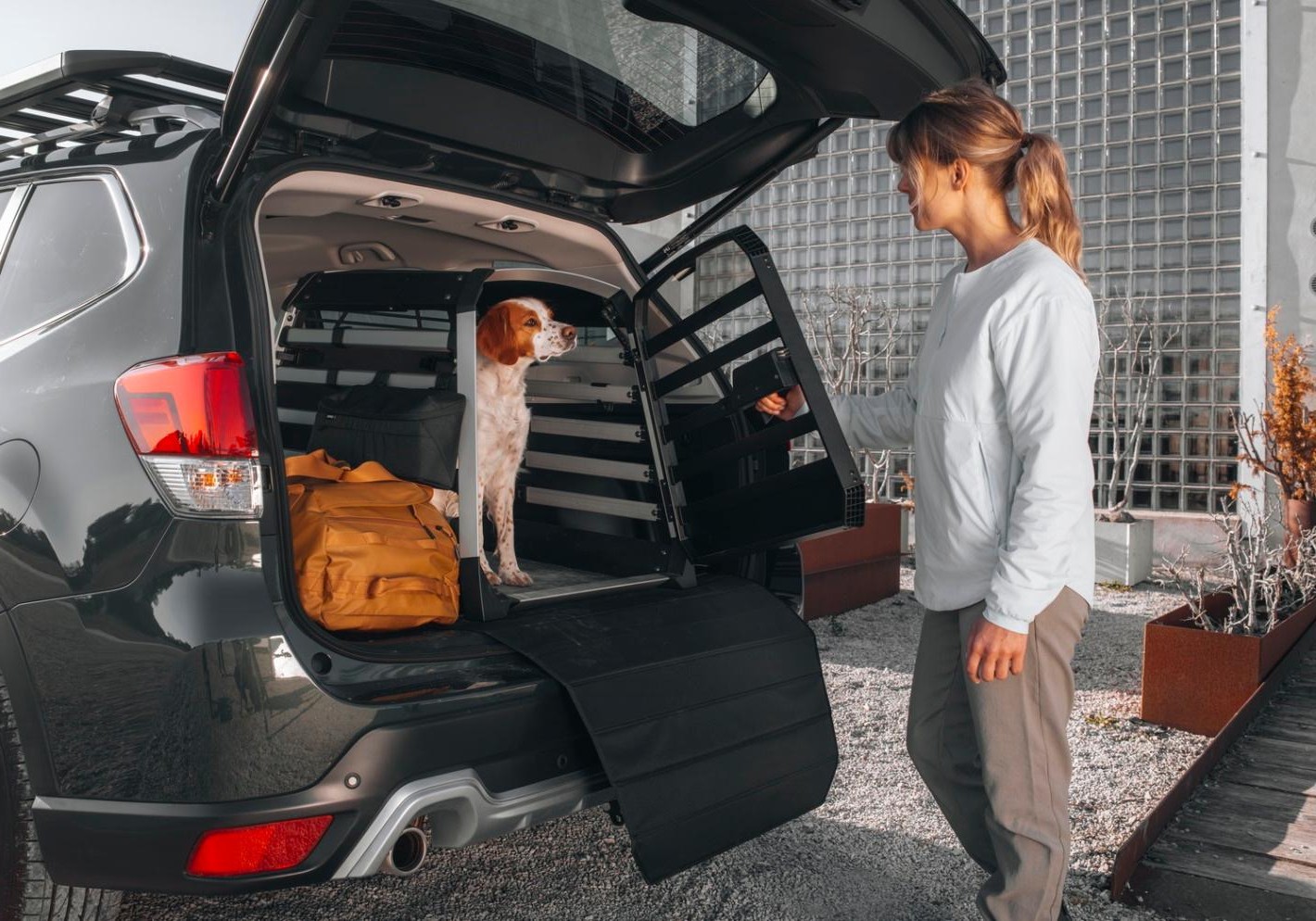 kamyon kasası köpek kulübesi