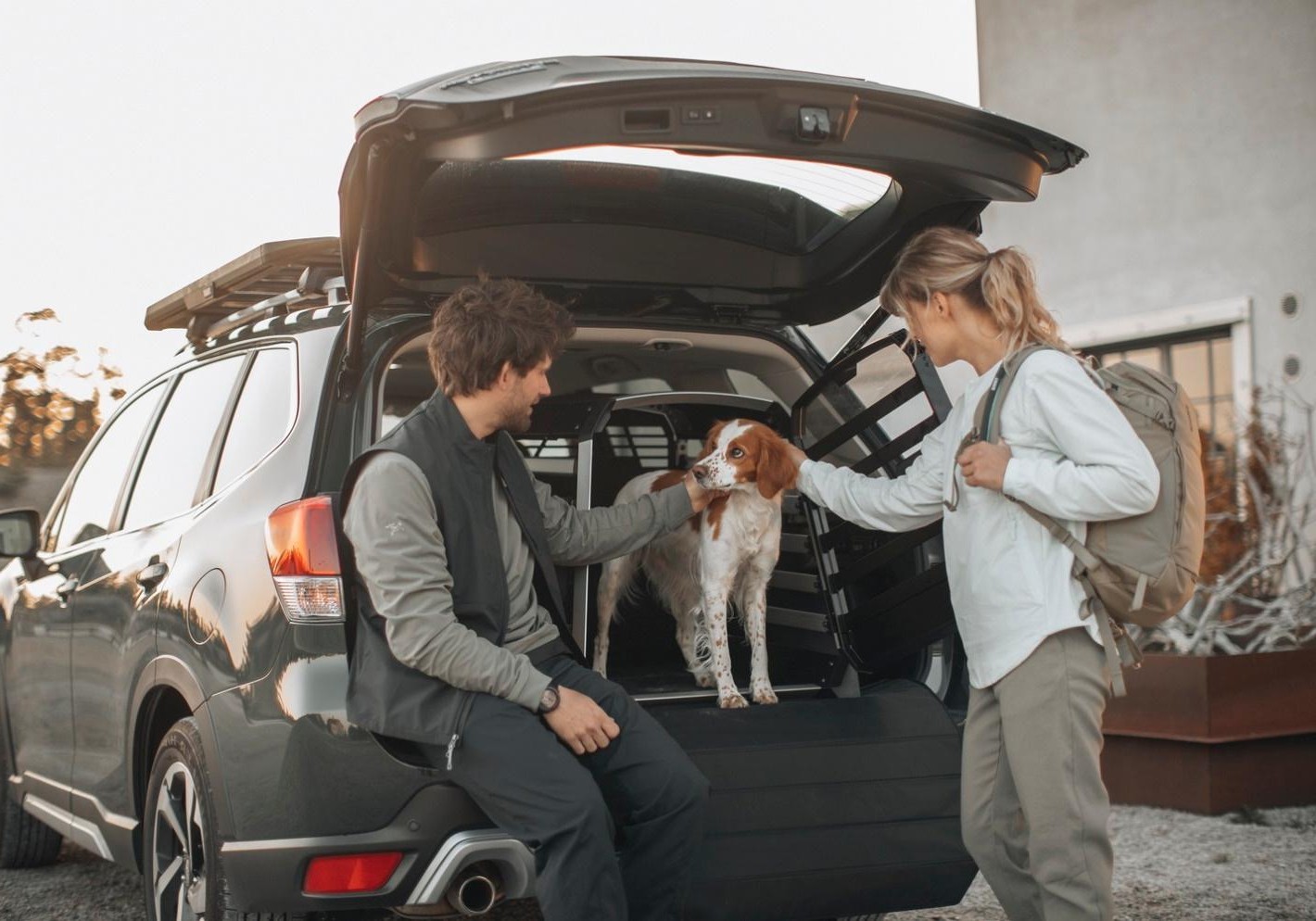 kamyonet kasası için köpek kulübesi