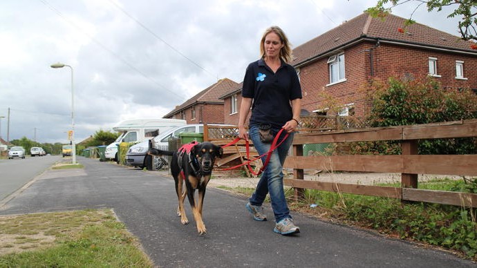 how to get dog to stop pulling on leash how to get dog to stop pulling on leash