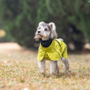 dog clothes raincoat (15)