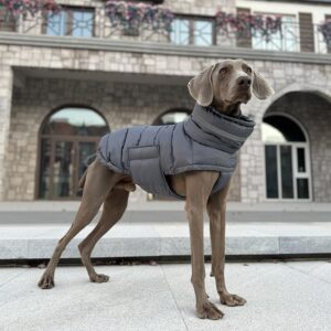 large size dog clothes