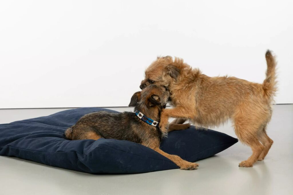 fully washable dog bed fully washable dog bed
