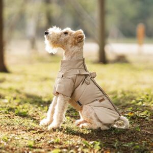 maltezer hondenkleren (4)