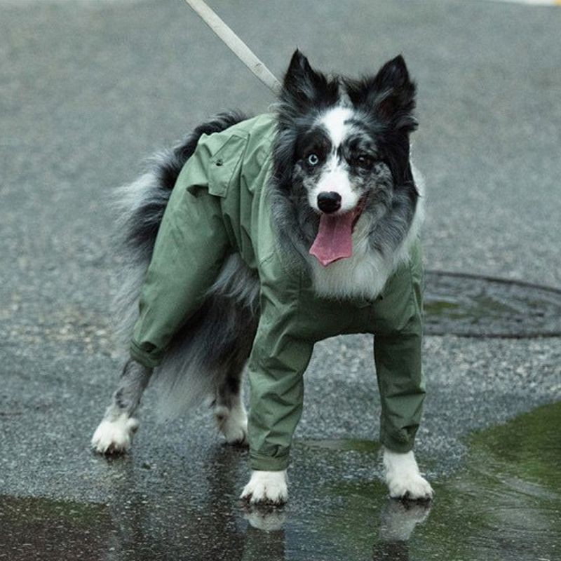 azienda di abbigliamento impermeabile per animali domestici azienda di abbigliamento impermeabile per animali domestici