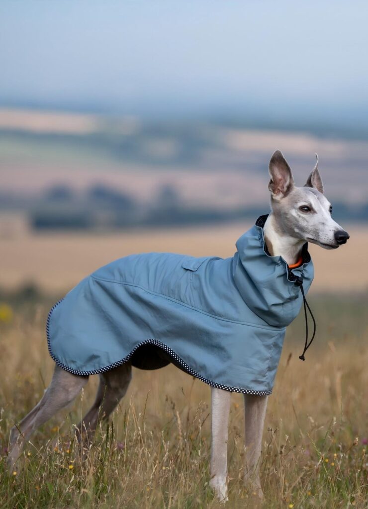 vestiti impermeabili per animali domestici porcellana vestiti impermeabili per animali domestici porcellana