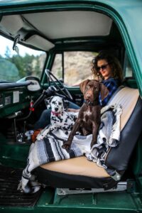 eco friendly pet clothes oem