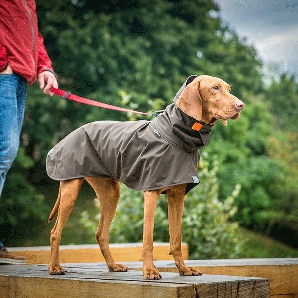 οικολογικό φιλικό εργοστάσιο ρούχων για κατοικίδια ζώα οικολογικό φιλικό εργοστάσιο ρούχων για κατοικίδια ζώα