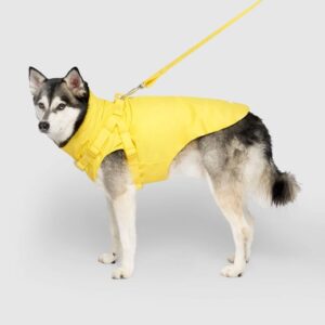 dog raincoat factory (5)