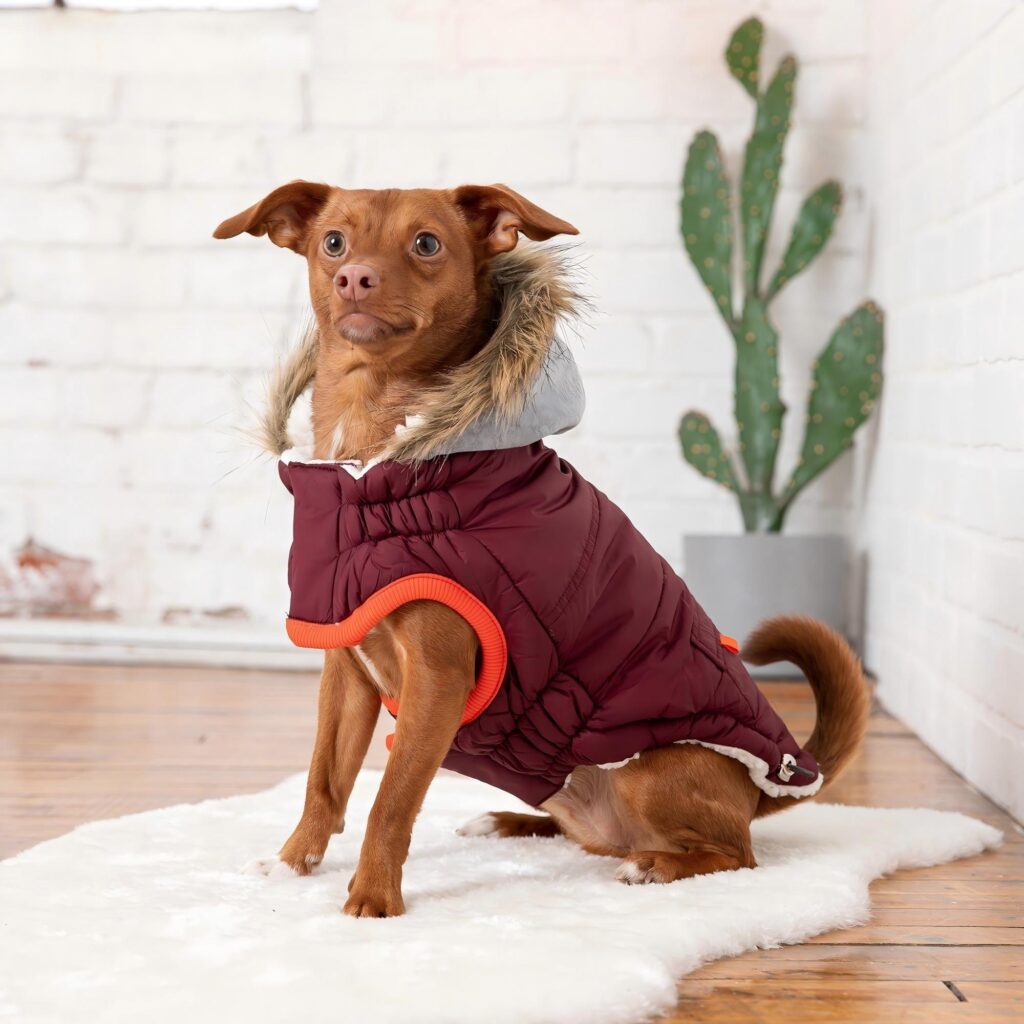 pet clothing manufacturers pet clothing manufacturers