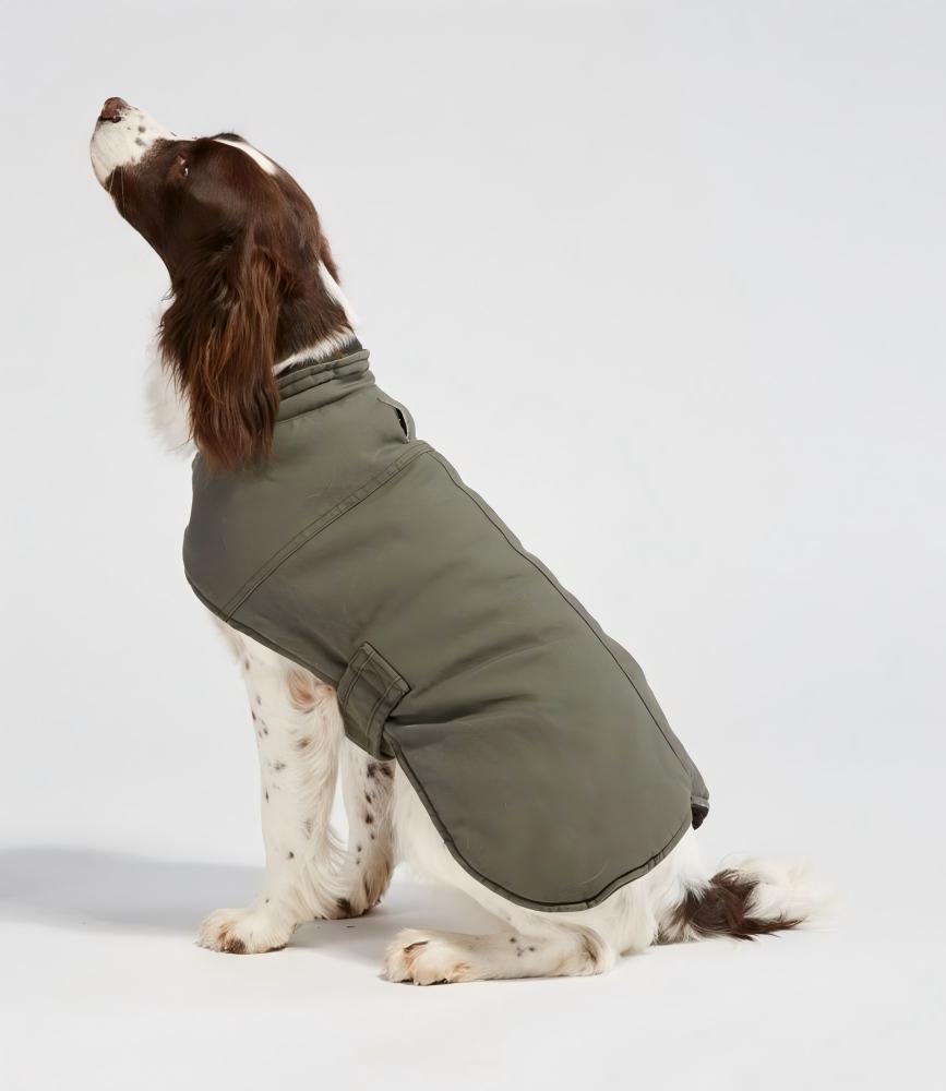 pet clothing export pet clothing export