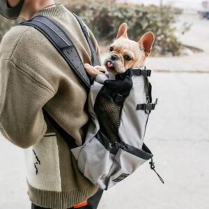 How Long Should a Dog Stay in a Carrier