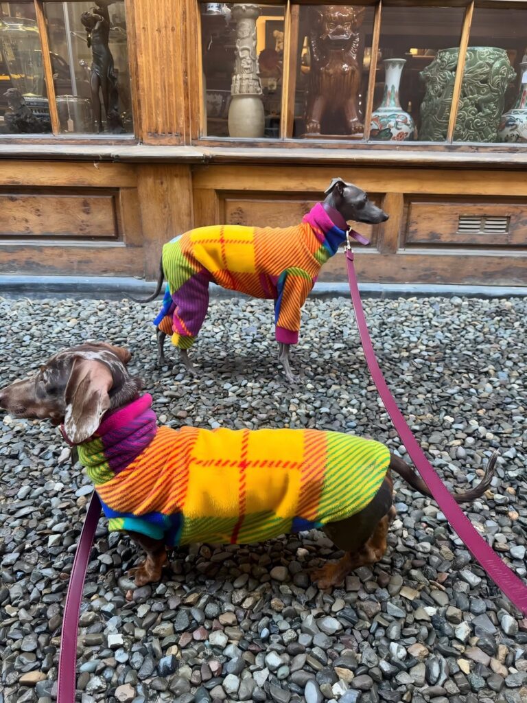 OEM Ropa para perros grandes OEM Ropa para perros grandes