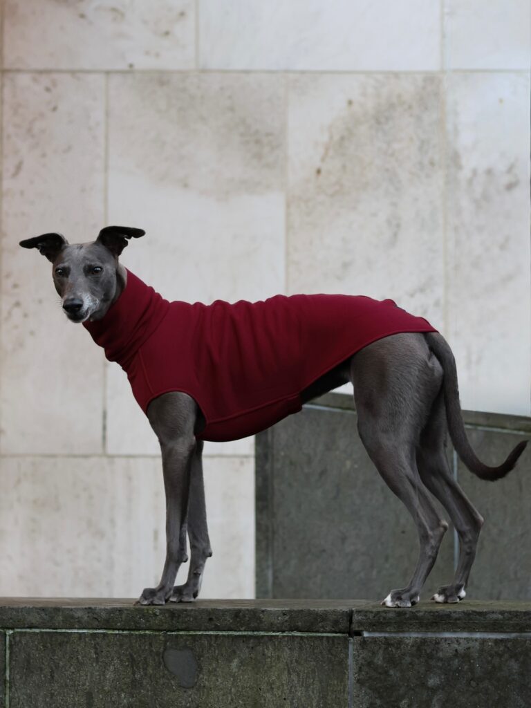 OEM Ropa para perros grandes OEM Ropa para perros grandes