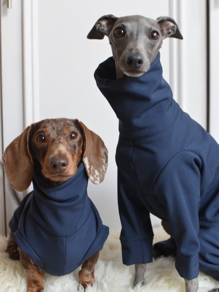 OEM Ropa para perros grandes OEM Ropa para perros grandes