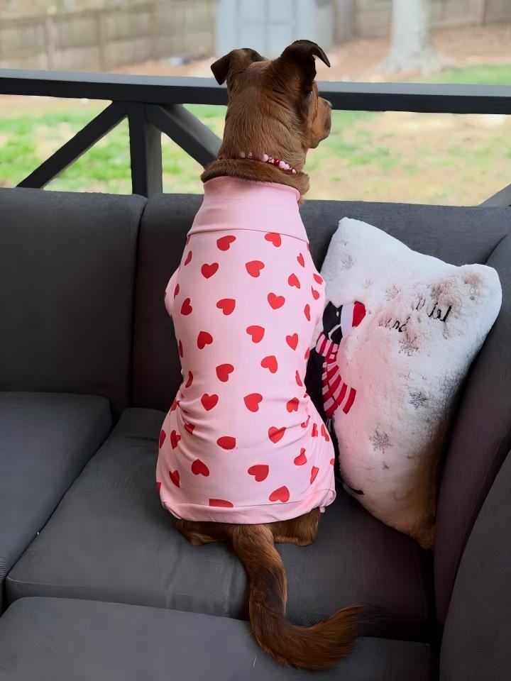 oem Hundebekleidung groß (7) oem Hundebekleidung groß (7)