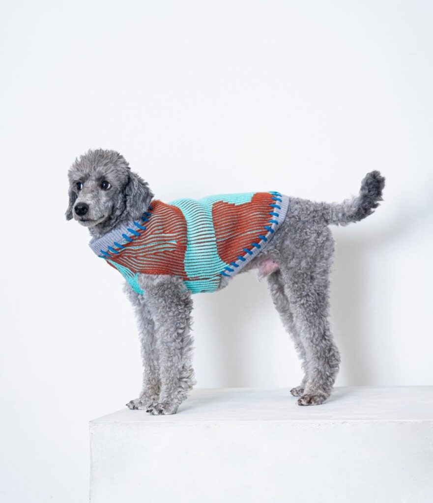 vestiti per cani personalizzati oem (6) vestiti per cani personalizzati oem (6)