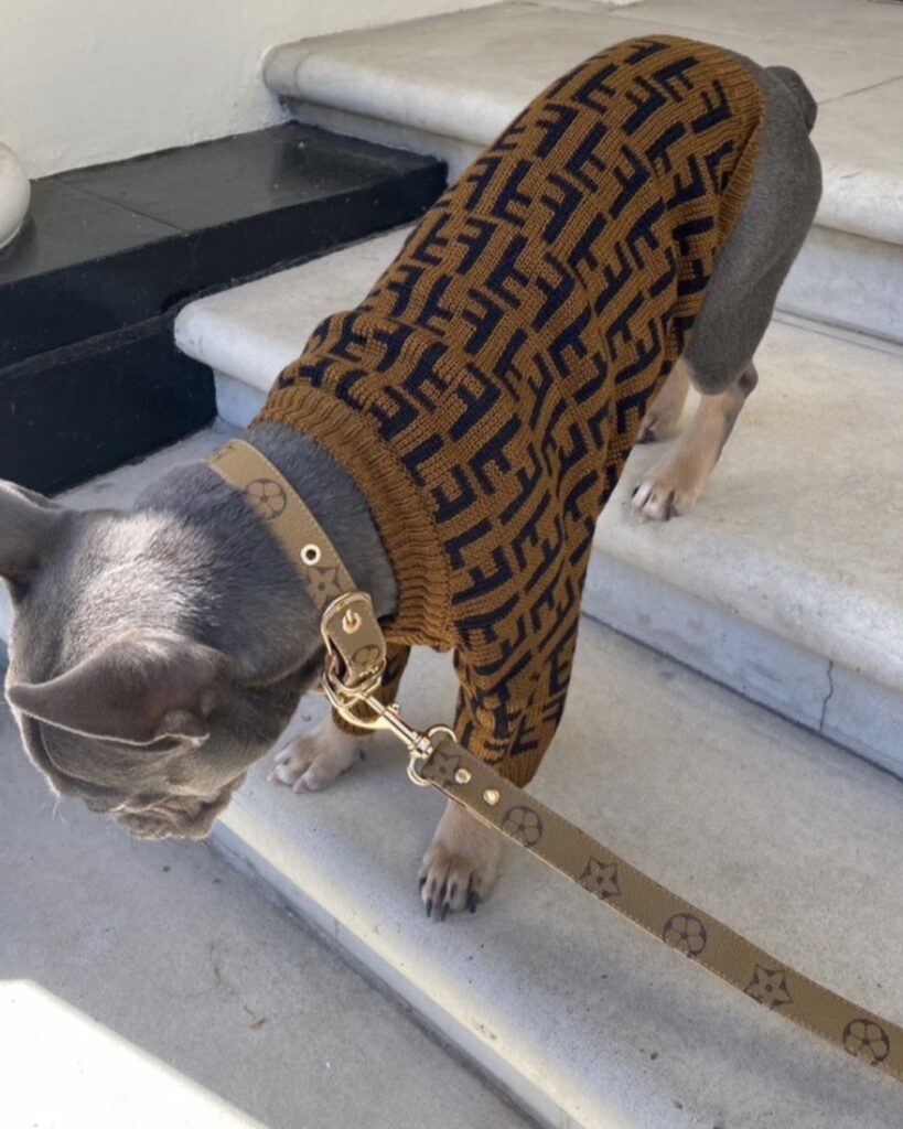 vestiti per cani personalizzati oem (8) vestiti per cani personalizzati oem (8)