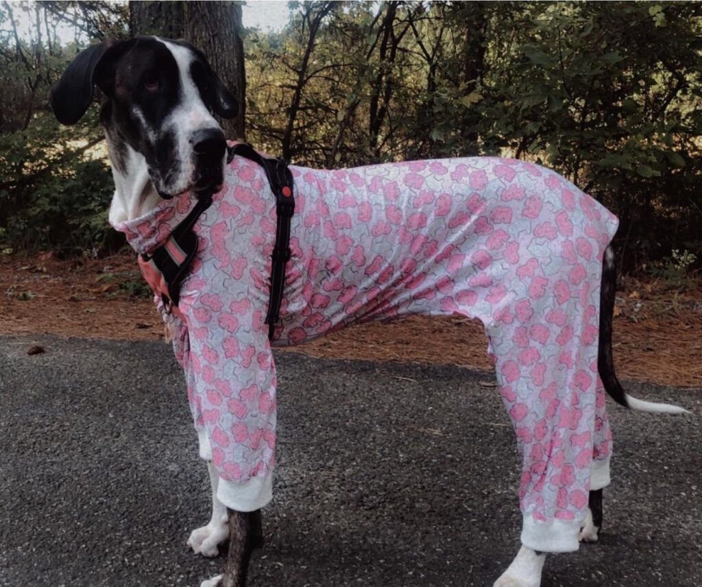 large dog clothes suppliers (2) large dog clothes suppliers (2)