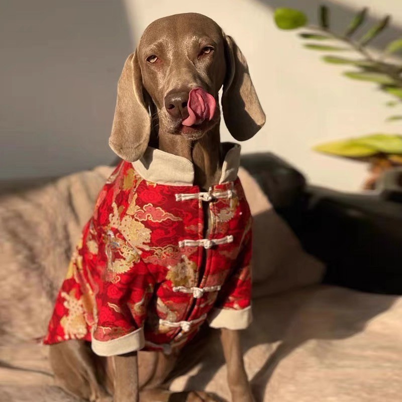 large dog clothes suppliers (9) large dog clothes suppliers (9)